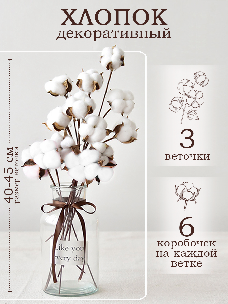 Сухоцветы Хлопка декор цветы букет 18 бутонов
