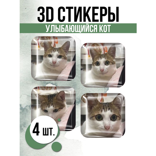 Наклейки на телефон 3D стикеры Улыбающийся кот