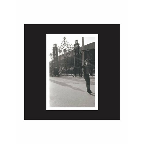 Виниловая пластинка Irreversible Entanglements Open The Gates coloured 0789993991532 6294₽