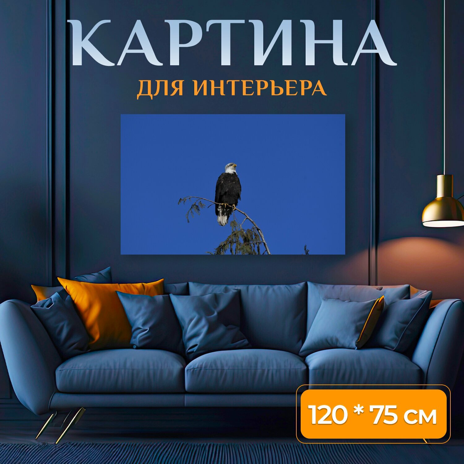 Картина на холсте "Белоголовый орлан, птица, сидя" на подрамнике 120х75 см. для интерьера