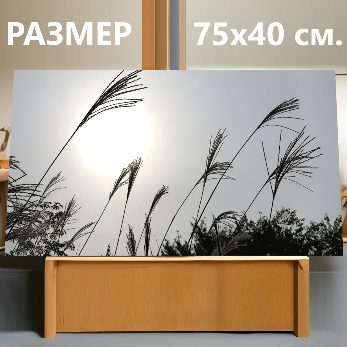 Картина на холсте "Серебряная трава, трава серебра, осень" на подрамнике 75х40 см. для интерьера