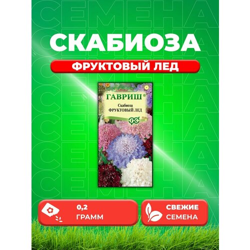 Скабиоза пурпурная Фруктовый лед, смесь, 0,2г, Гавриш скабиоза тёмно пурпурная бордовая