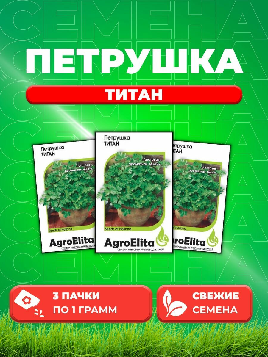 Петрушка листовая Титан, 1,0г, AgroElita, Bejo(3уп)