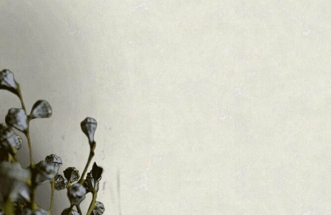 фото Обои Victoria Stenova Kamchatka 281352