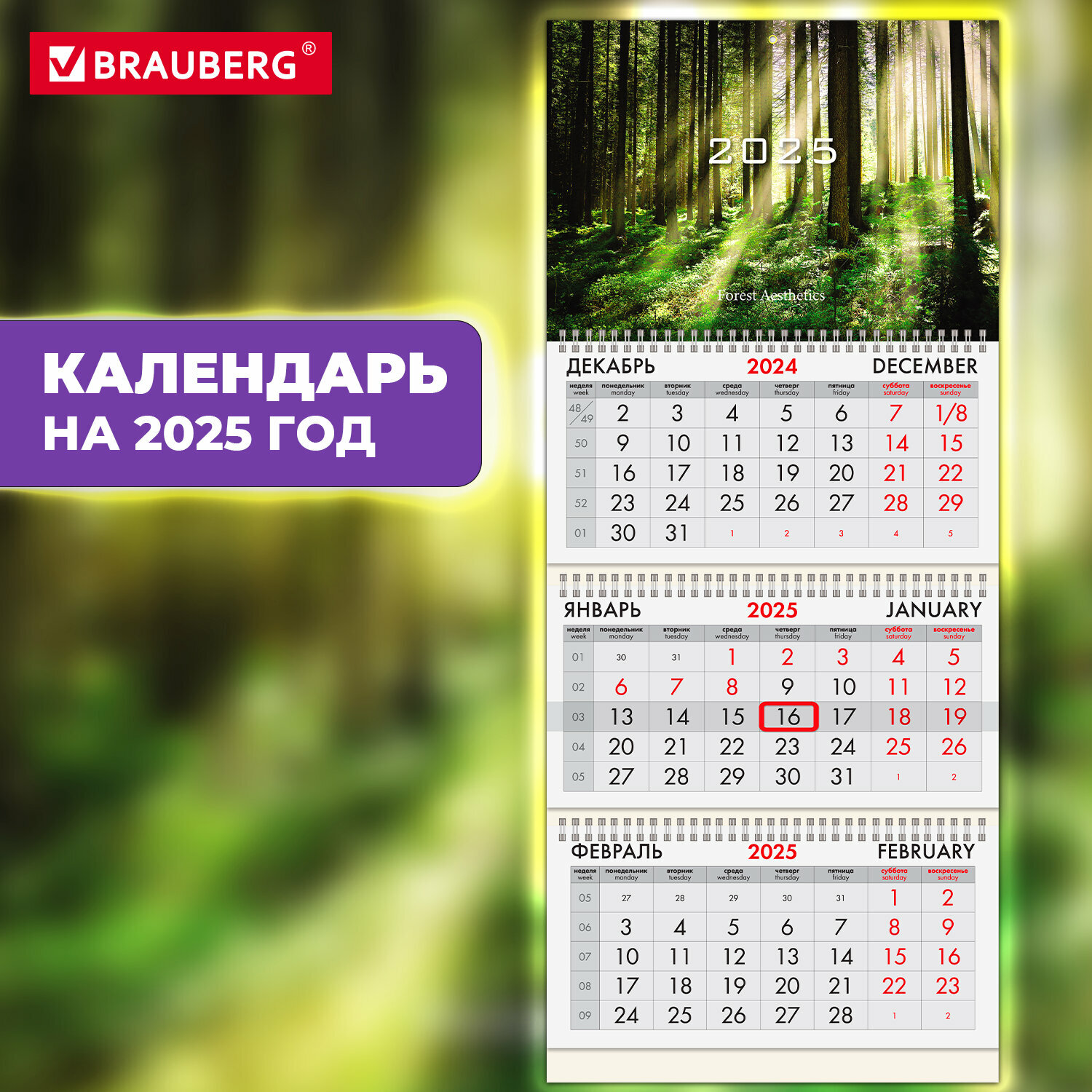 Календарь настенный на 2025 год квартальный отрывной 3 блока, 3 гребня, бегунок, офсет, Brauberg, Сказочный лес, 116100