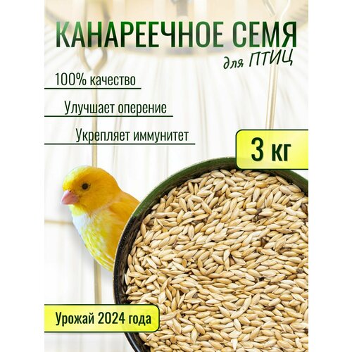 Канареечное семя Ясени 3кг
