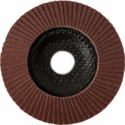 Диск лепестковый RAZAIAN P24, для пластмассы и стекла, 125 мм