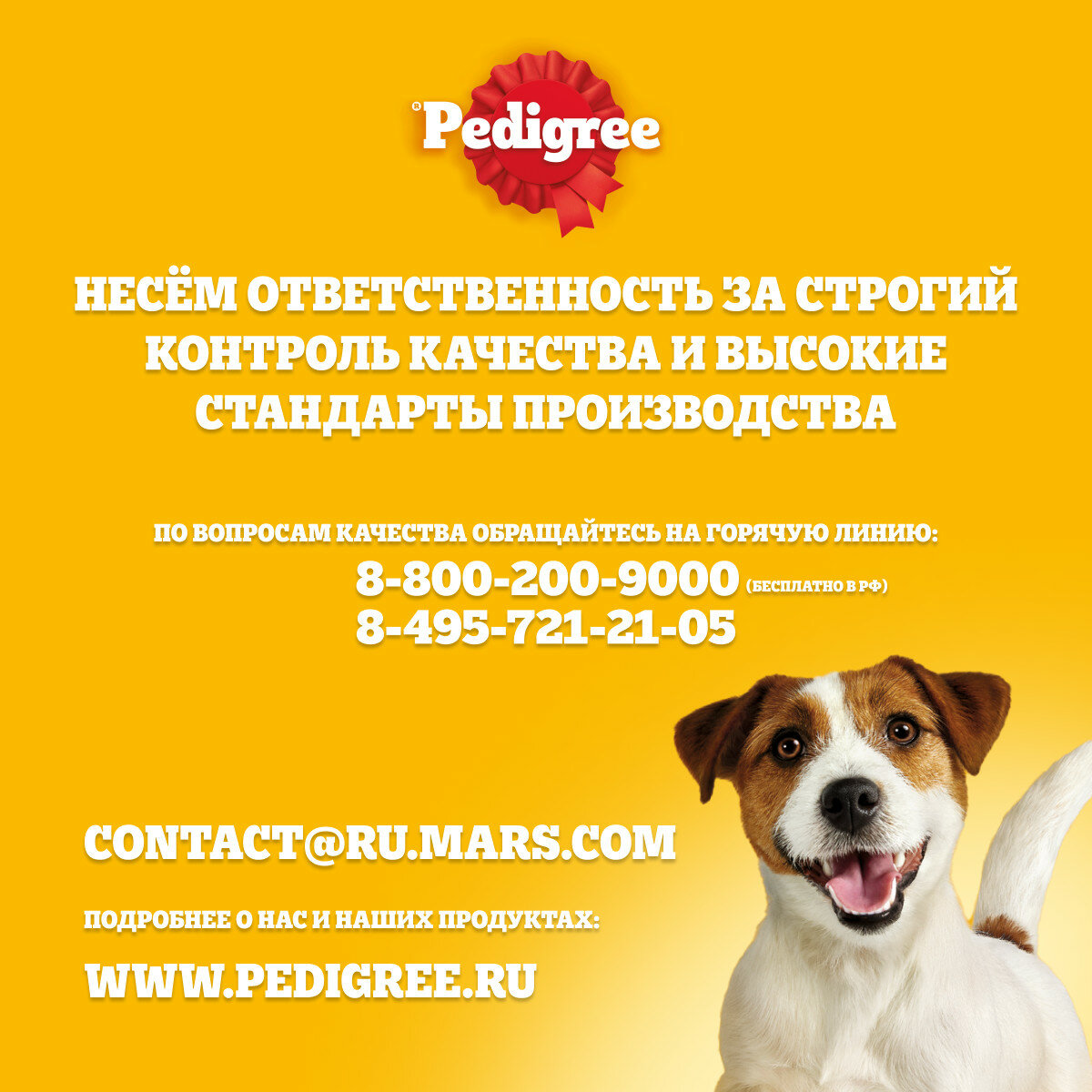 Полнорационный сухой корм для взрослых собак всех пород Pedigree Vital Protection с говядиной, 2.2 кг - фото №5