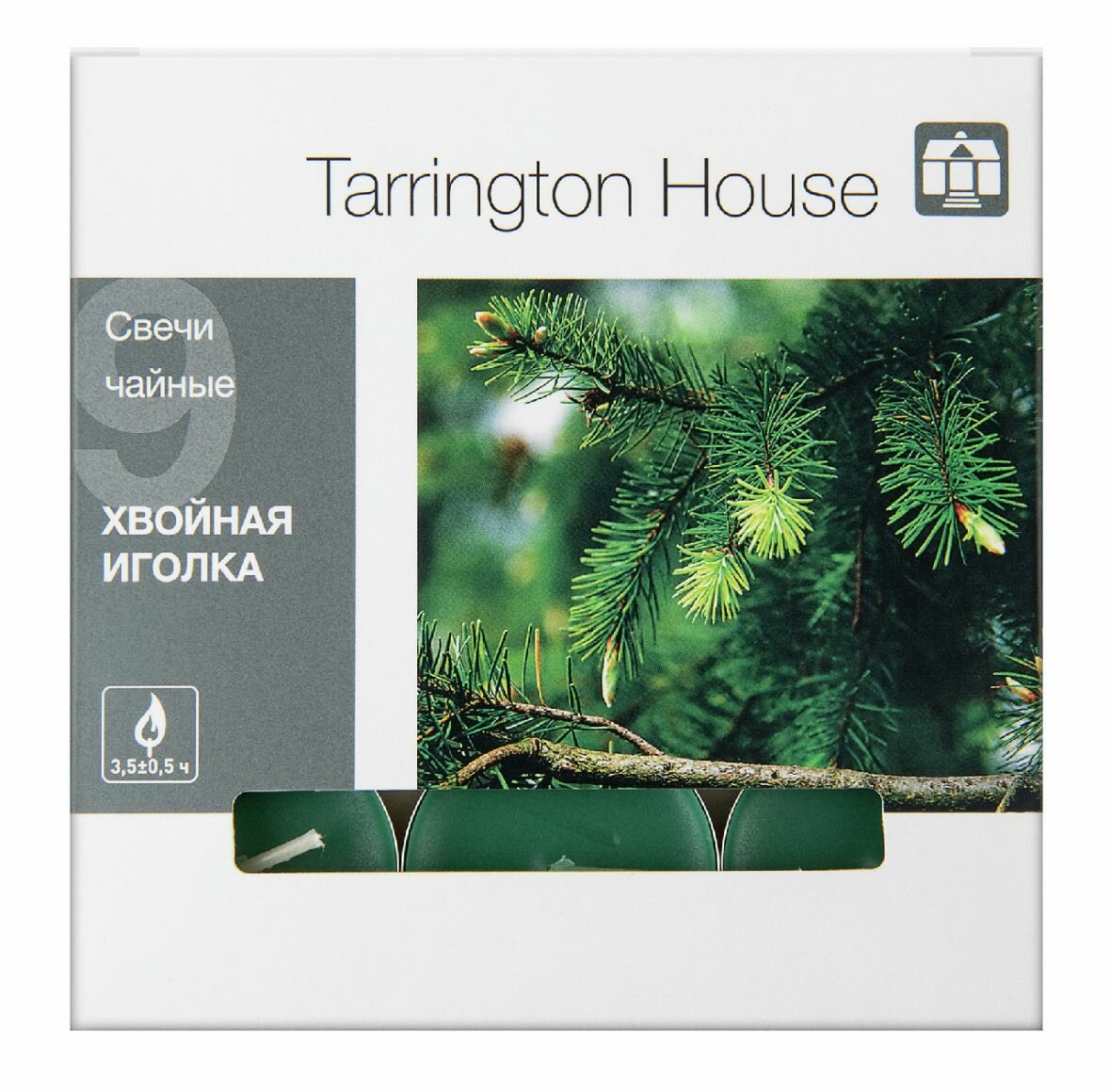 Свеча Tarrington House "Хвойная иголка", ароматная, чайный тип, 1.5см, в подсвечнике, 9 шт.