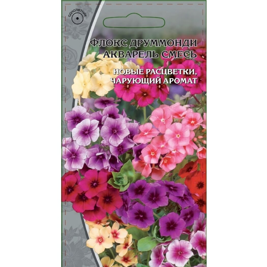 Семена цветов флокс друммонди 'акварель смесь' однолетние чарующий аромат яркие расцветки 01г цвет в ассортименте