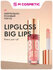 Блеск для губ STELLARY Skin Studio Lipgloss Big Lips 05 тон, 4 мл