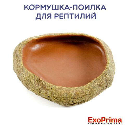 Кормушка-поилка EXOPRIMA для рептилий камень 175х145х4см 19см 1850₽