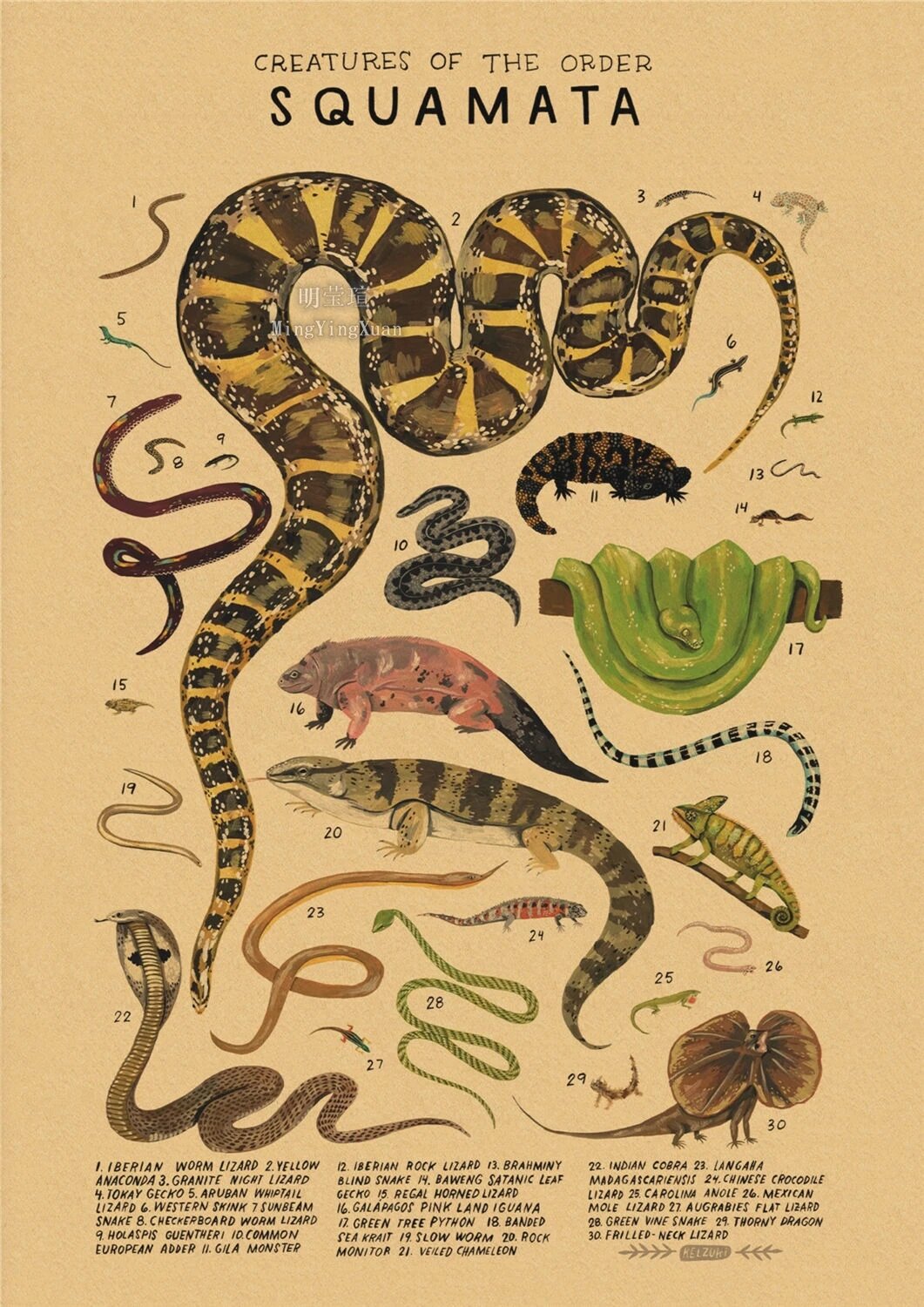 Настенные картины морских организмов 24, 30x20cm A4
