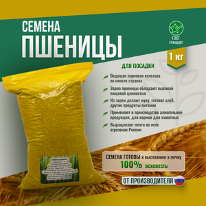 Семена Пшеницы - 1 кг Мосагрогрупп
