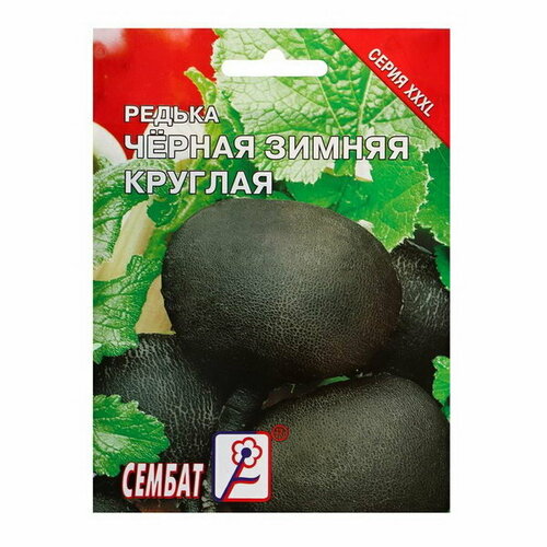 Семена ХХХL Редька Зимняя круглая черная, 10 г