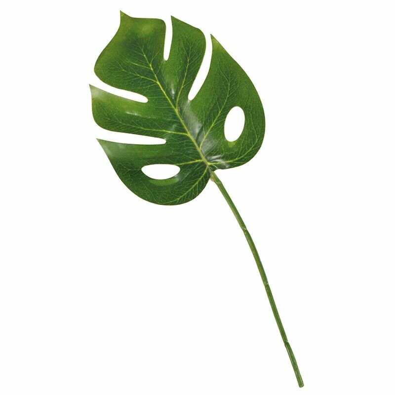 Декоративное растение Rayher "Монстера", лист со стеблем, 3 шт