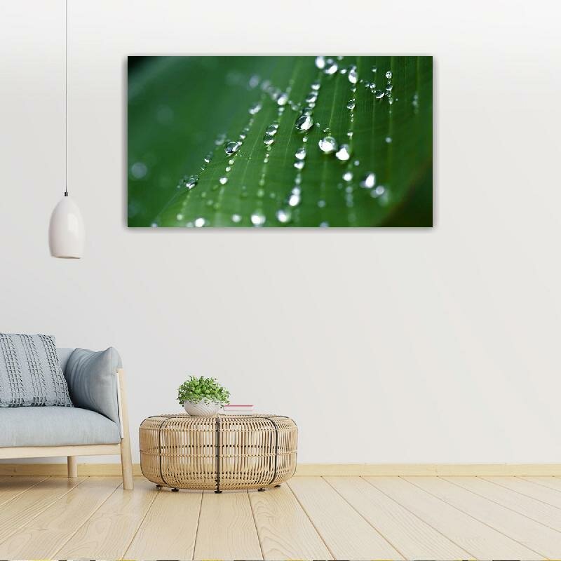 Картина на холсте 60x110 LinxOne "Капли воды, лист, роса" интерьерная для дома / на стену / на кухню / с подрамником