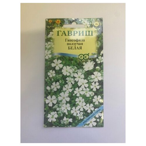 Гипсофила ползучая Белая, 0,05 г. Гавриш бонсай в горшке гипсофила ползучая 11х22 см микс