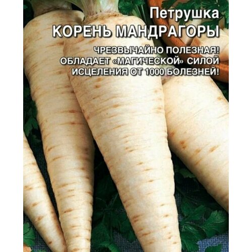 Коллекционные семена петрушки корневая Корень Мандрагоры