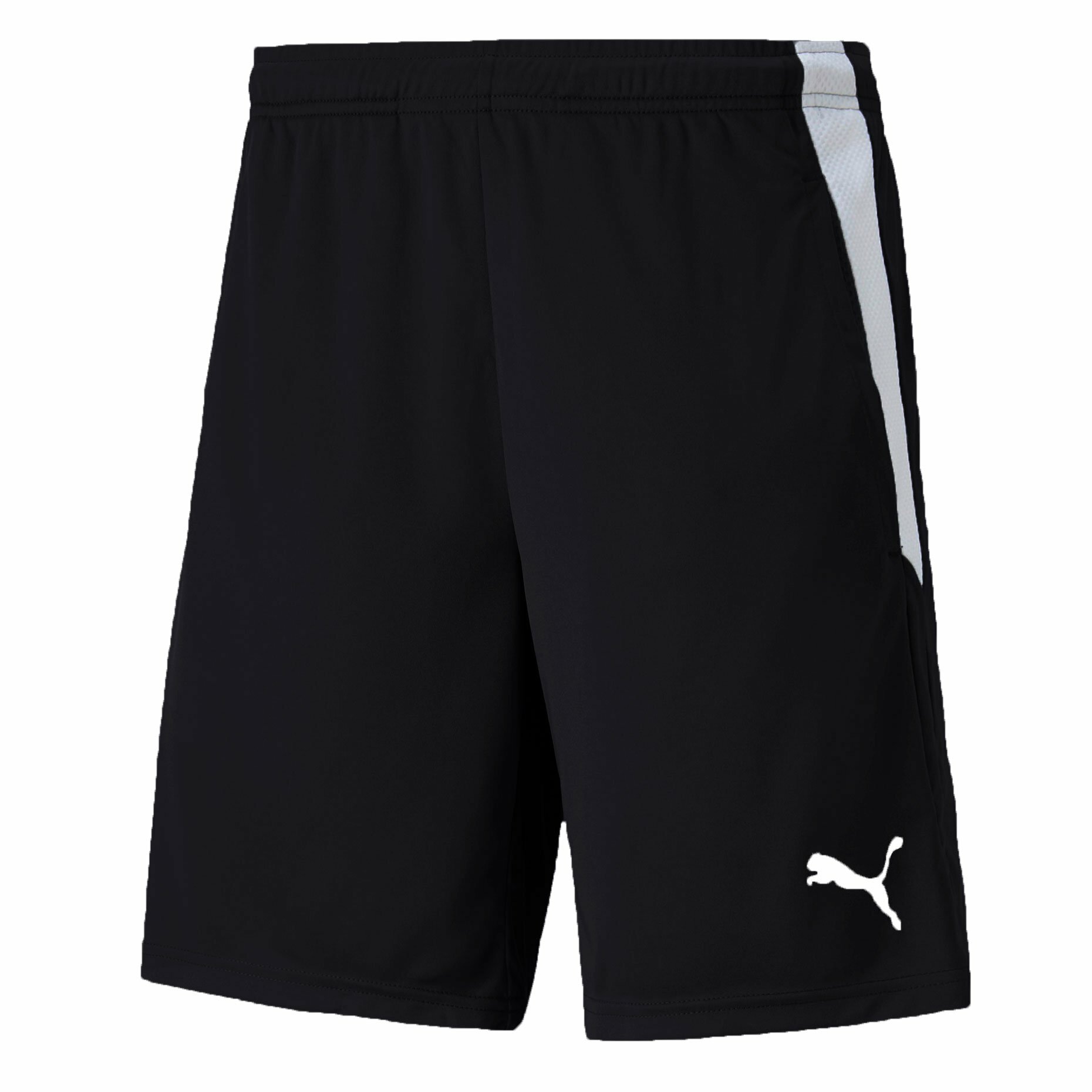 Шорты спортивные PUMA Teamliga Training Shorts 2