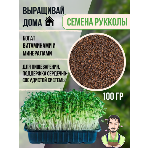 Набор для выращивания Рукколы микрозелень (семена 100гр), агровата 6 шт, лоток 6 шт . Семена для проращивания 100 грамм