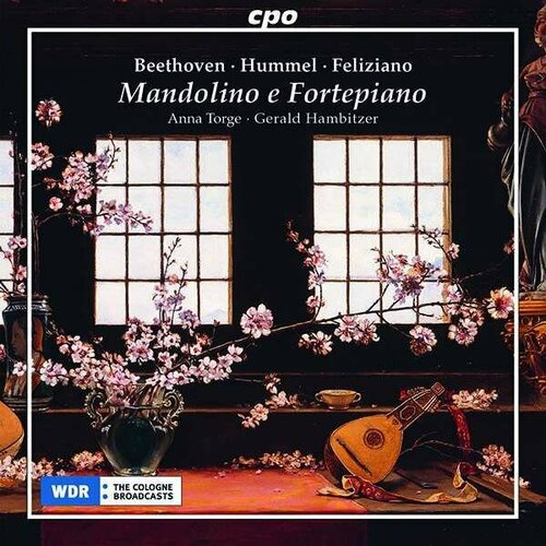 Audio CD Mandolino e Fortepiano - Sonatas & Variazioni (1 CD) ludwig van beethoven piano sonatas 17 32 бетховен 2005 г cd mp3