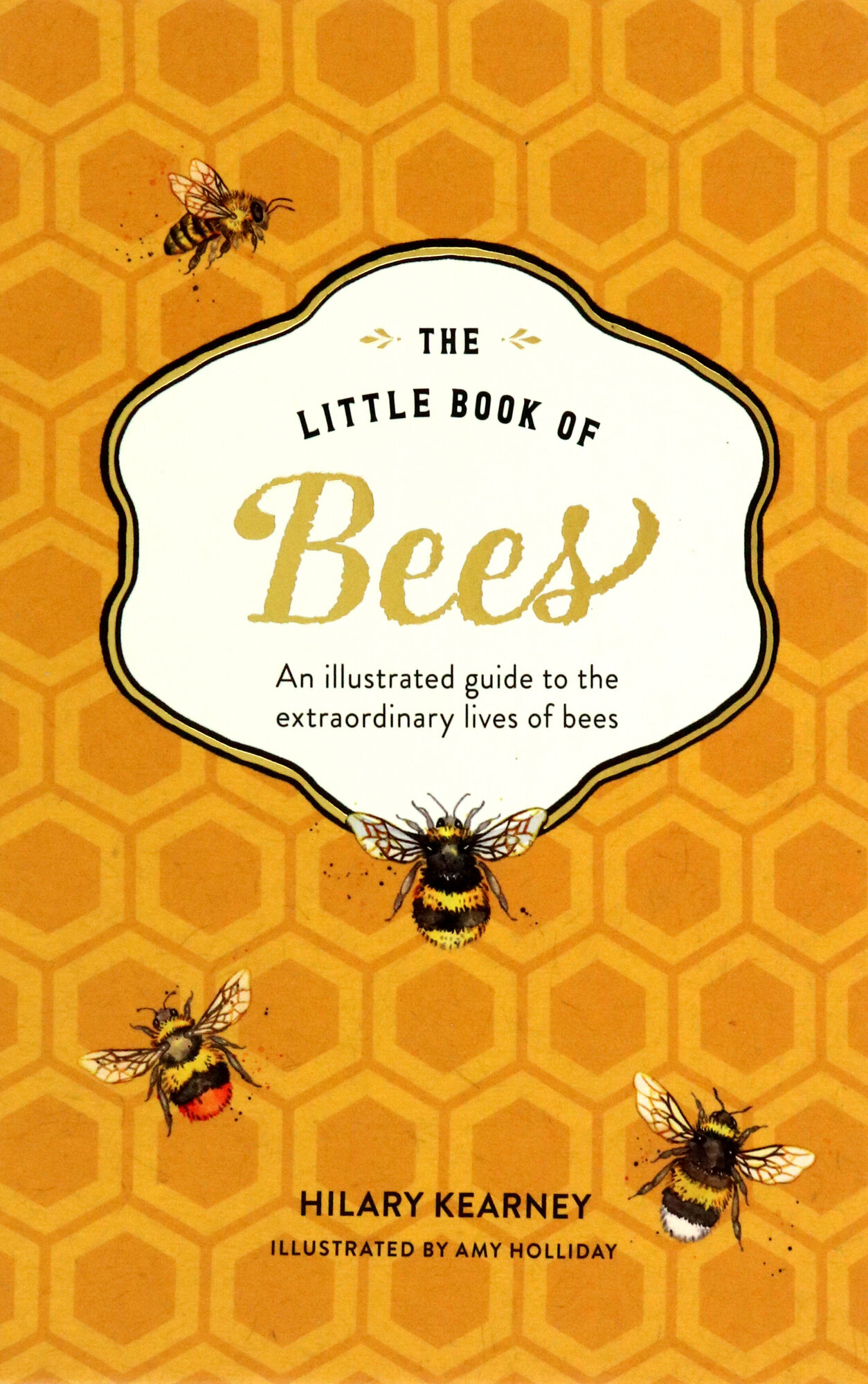 The Little Book of Bees. An Illustrated Guide to the Extraordinary Lives of Bees - фото №2