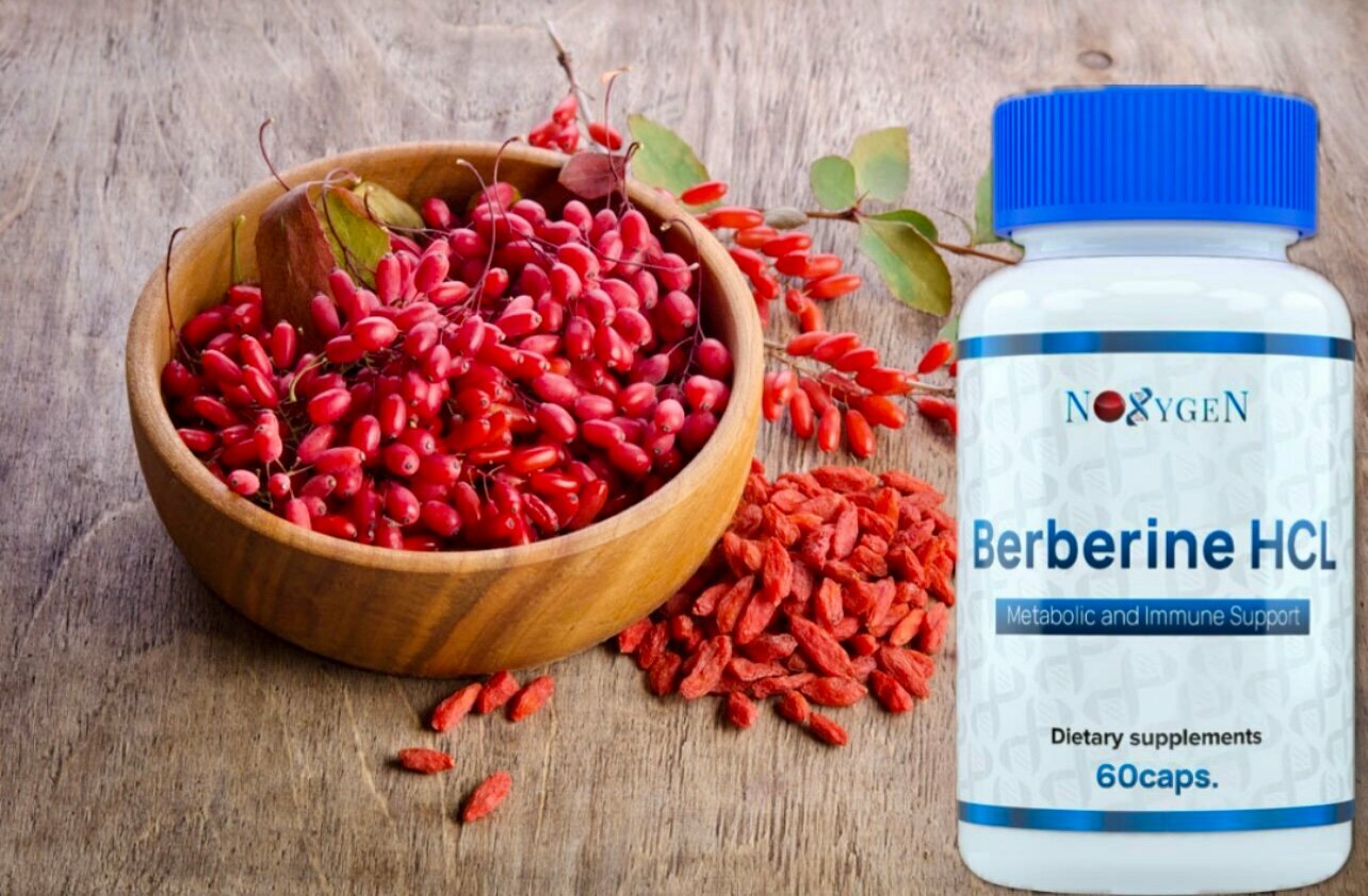 Noxygen Berberin HCL 500mg/60капс - жиросжигающий препарат, 98% берберина