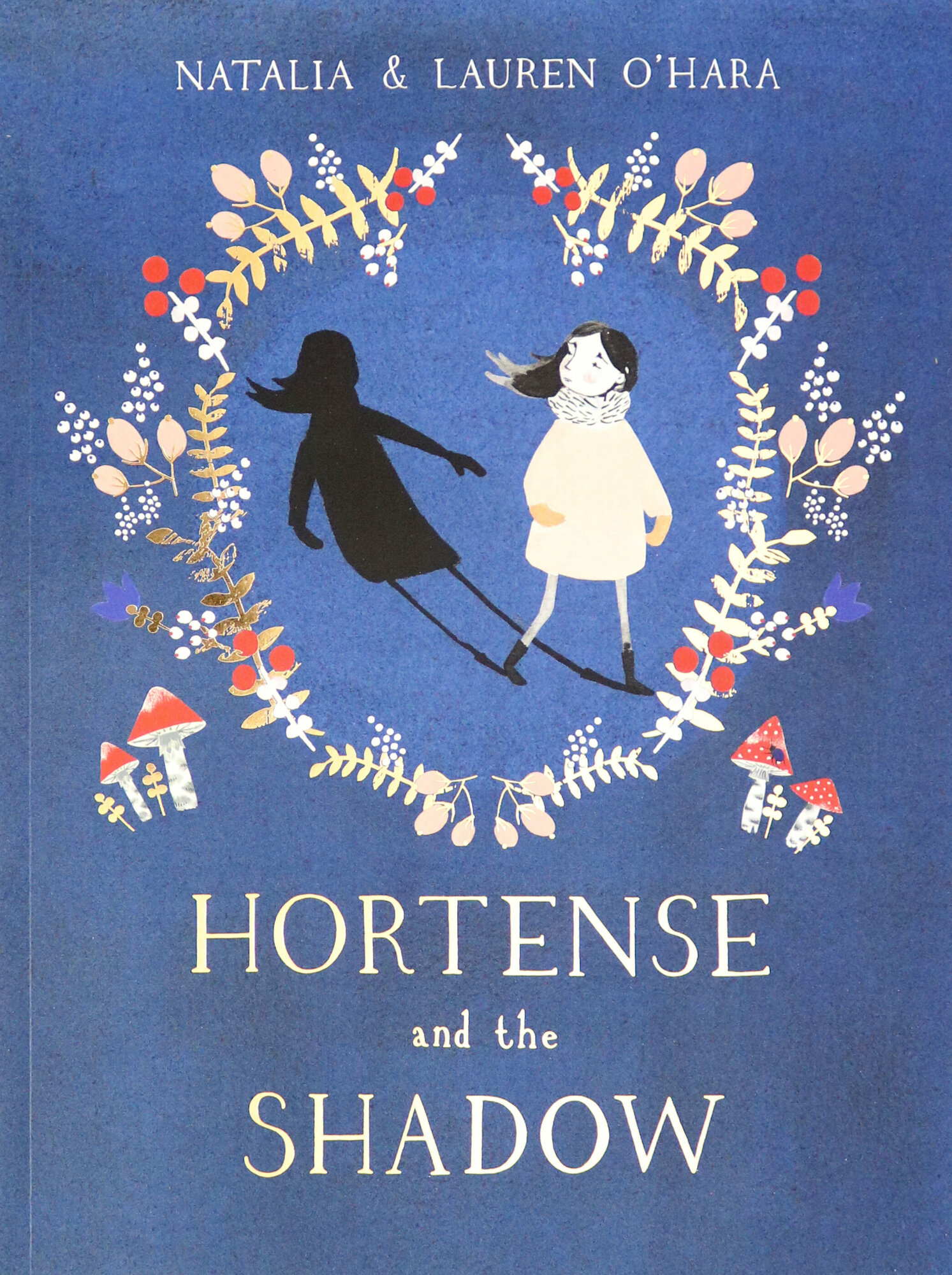 Hortense and the Shadow / Книга на Английском - фото №1