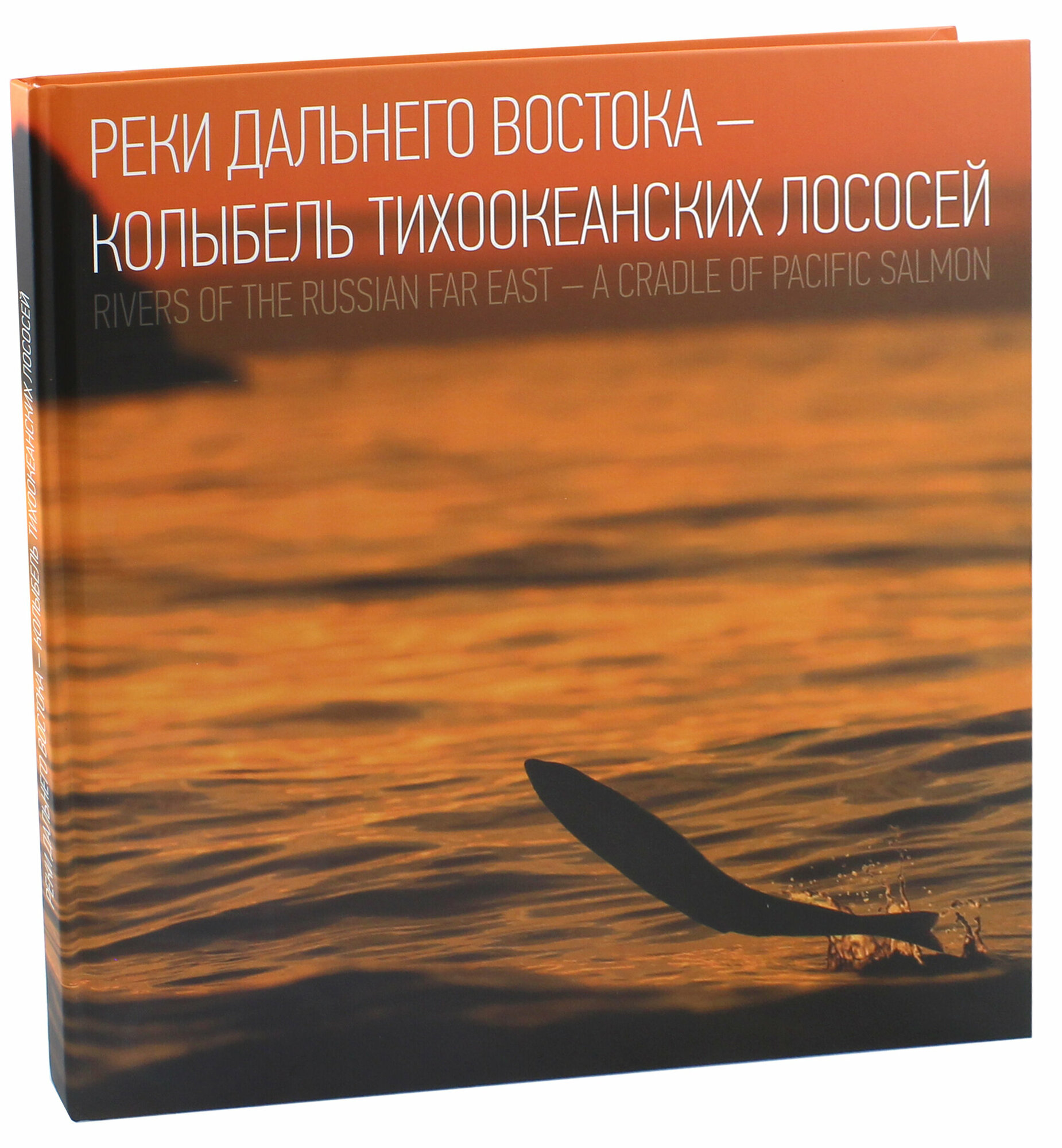 Реки Дальнего Востока - колыбель тихоокеанских лососей = Rivers of The Russian Far East - A Cradle of Pacific Salmon - фото №3