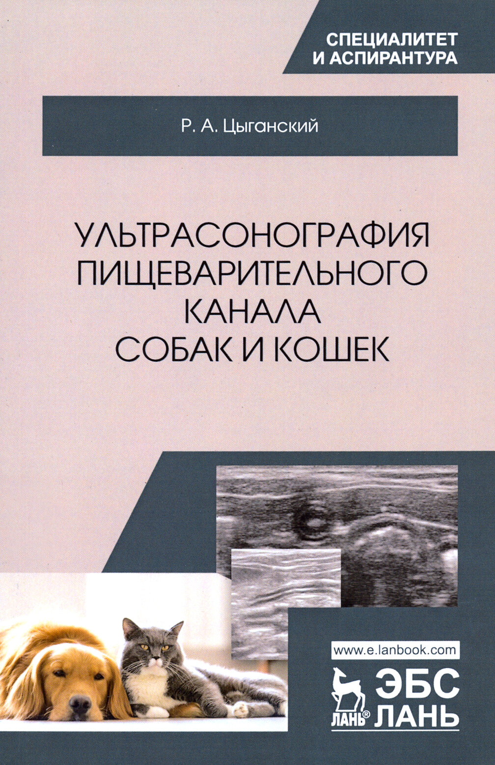 Ультрасонография пищеварительного канала собак и кошек. Монография - фото №2