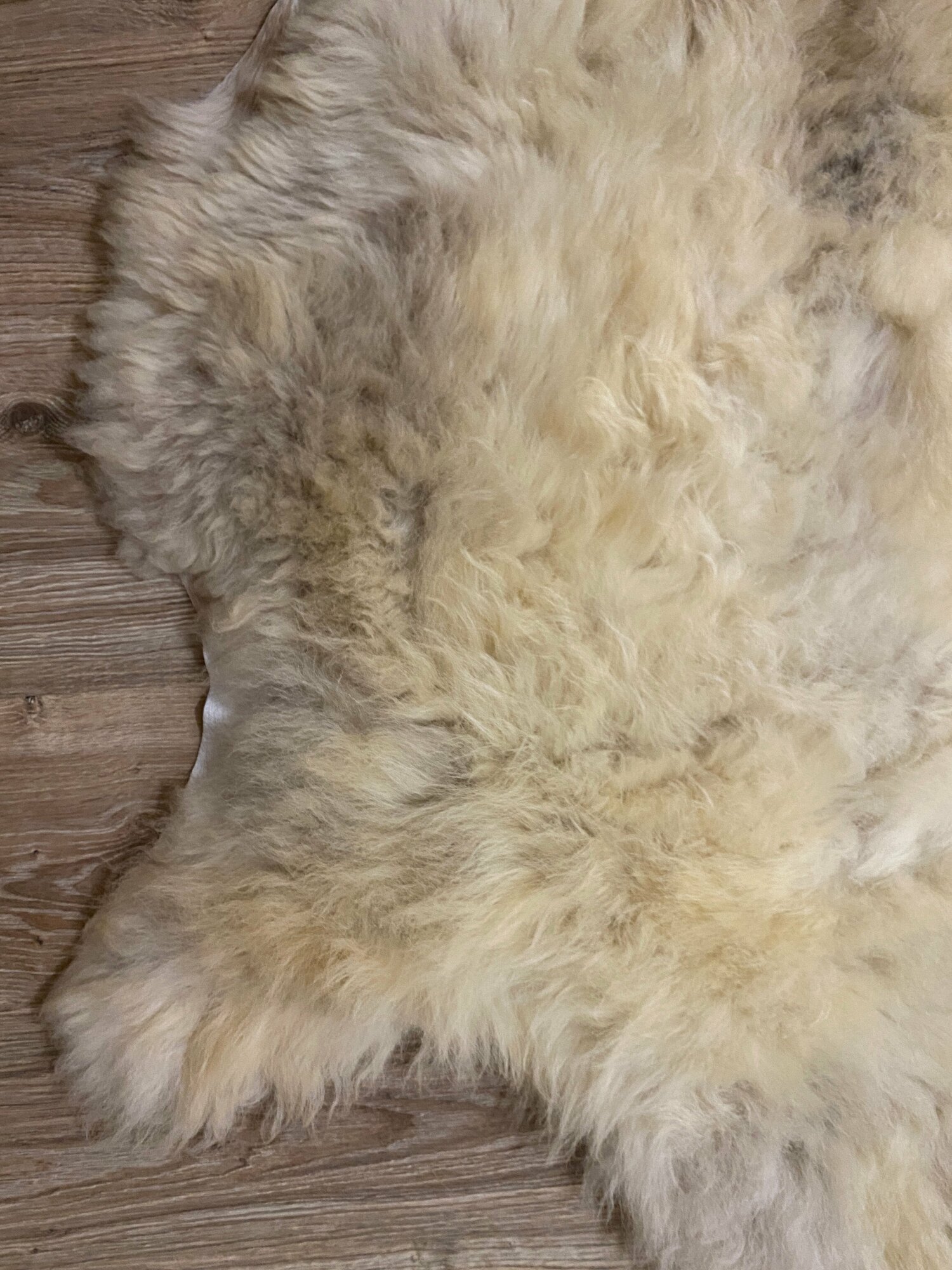 Шкура коврик меховой прикроватный овчина, длинный ворс 140х88 см. - фотография № 7