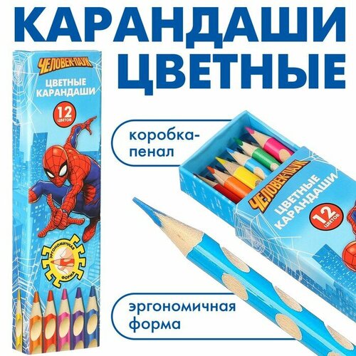 Карандаши цветные в пенале 12 цветов Человек-паук, Человек-паук, трёхгранный корпус карандаши цветные 12 цветов человек паук