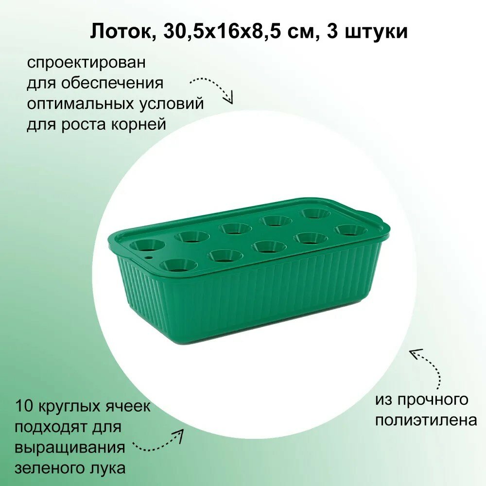 Лоток, 30,5х16х8,5 см, 3 штуки: из прочного полиэтилена; внутри 10 круглых ячеек; прекрасно подходит для выращивания зеленого лука