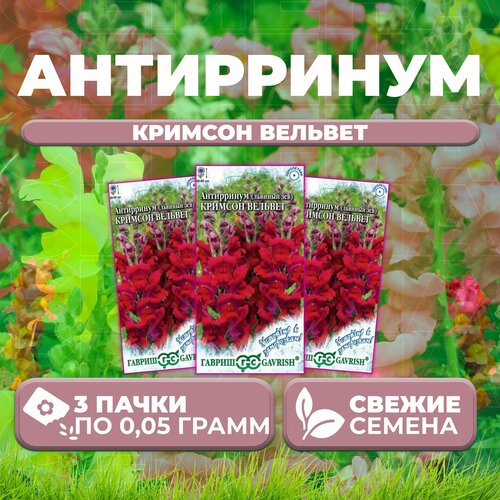 Антирринум (Львиный зев) Кримсон вельвет, 0,05г, Гавриш, Устойчив к заморозкам (3 уп)