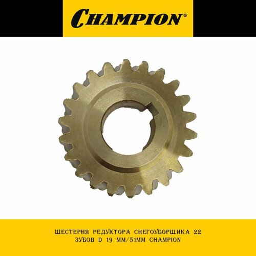 Шестерня редуктора снегоуборщика 22 зубов d 19 мм/51мм Champion