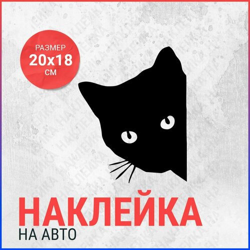 Наклейка на авто 20х18 Кот выглядывает справа