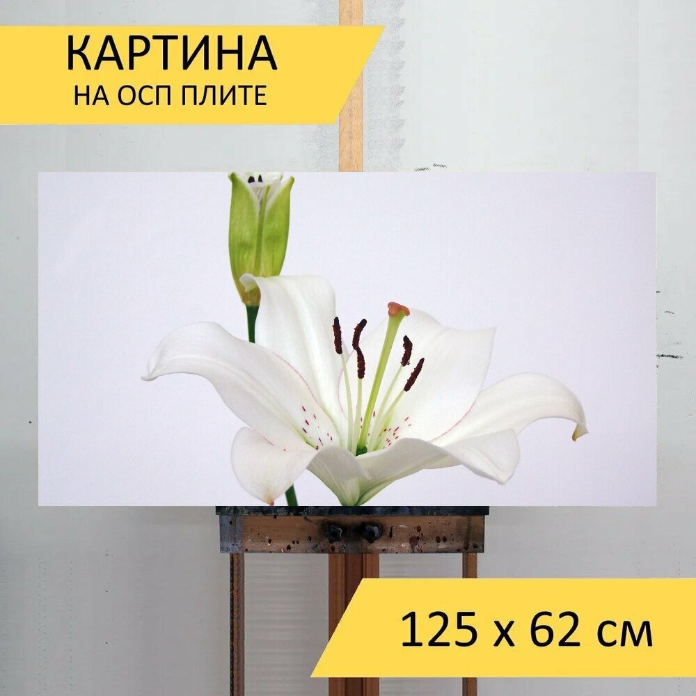 Картина на ОСП 125х62 см. 