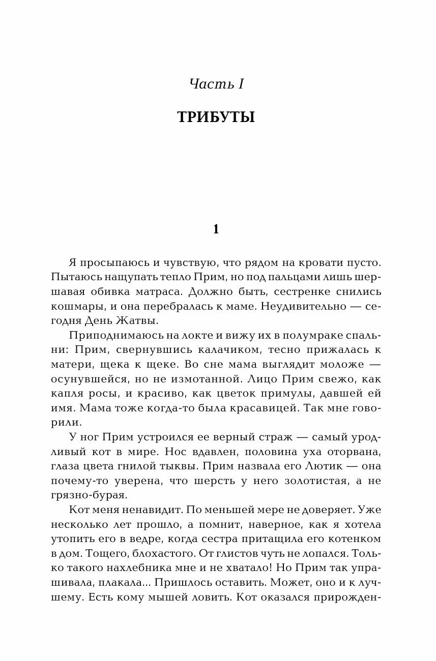 Голодные игры. И вспыхнет пламя. Сойка-пересмешница - фото №20