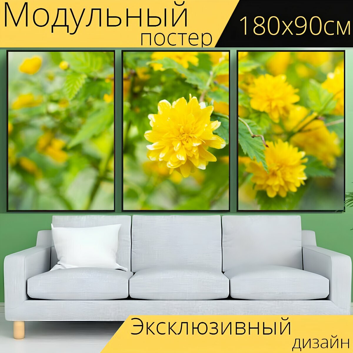 Модульный постер "Желтый, цветок, завод" 180 x 90 см. для интерьера