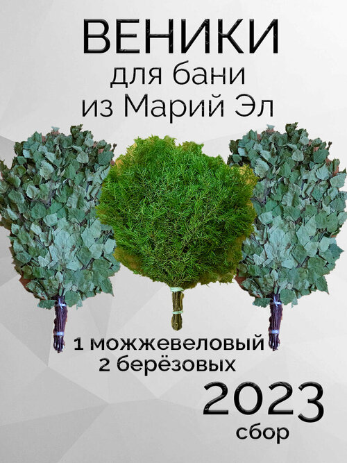 Комплект веников для бани, 2 березовых и можжевеловый из Марий Эл