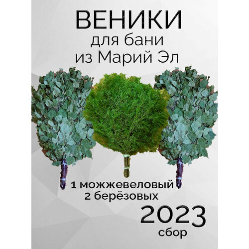 Комплект веников для бани, 2 березовых и можжевеловый из Марий Эл веники для бани из марий эл отборные с ручкой из джута 3 штуки в коробке