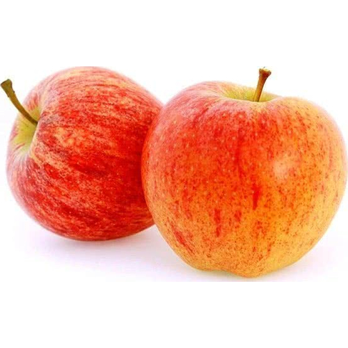 Яблоня Джана-Голд яблоня хоней голд