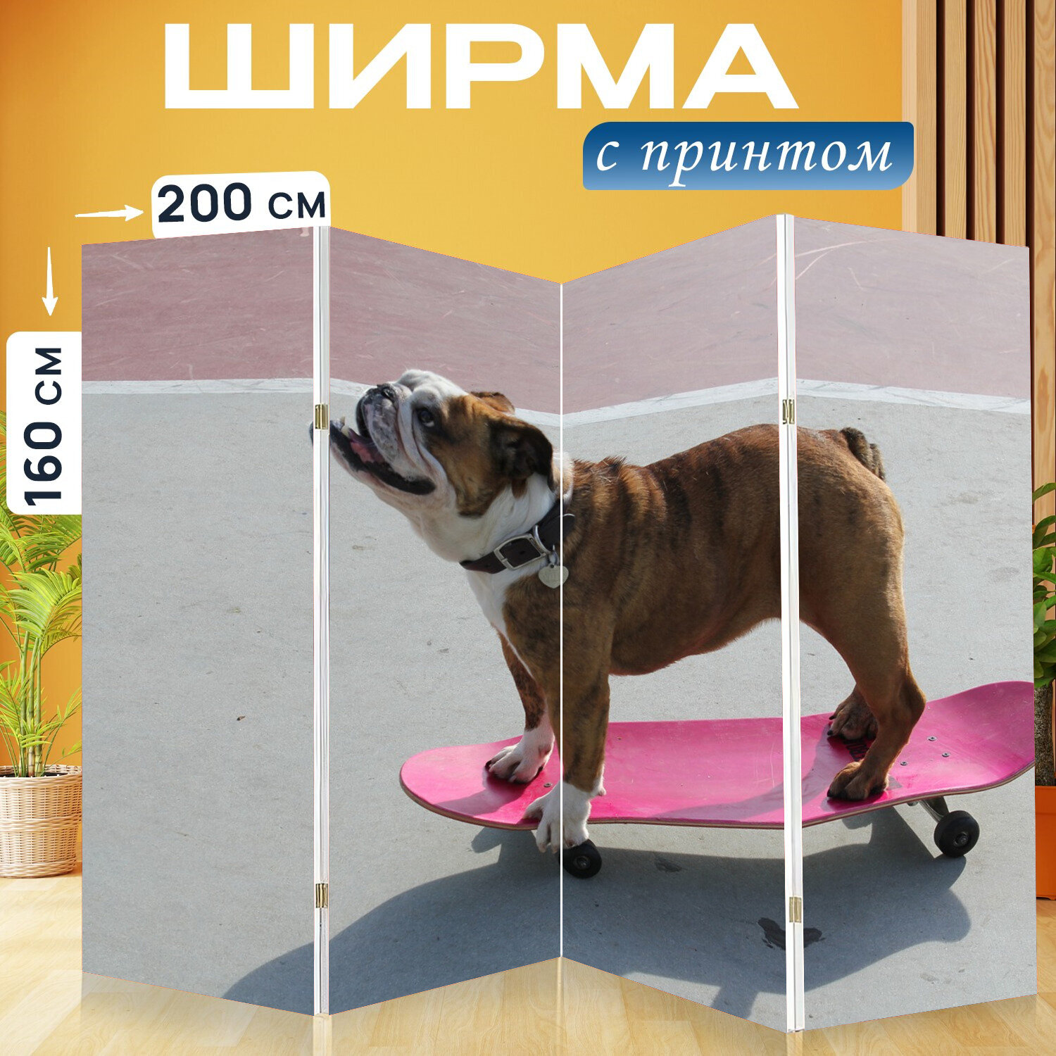 Ширма перегородка с принтом "Собака, собачий, домашний питомец" на холсте - 200x160 см. для зонирования, раскладная