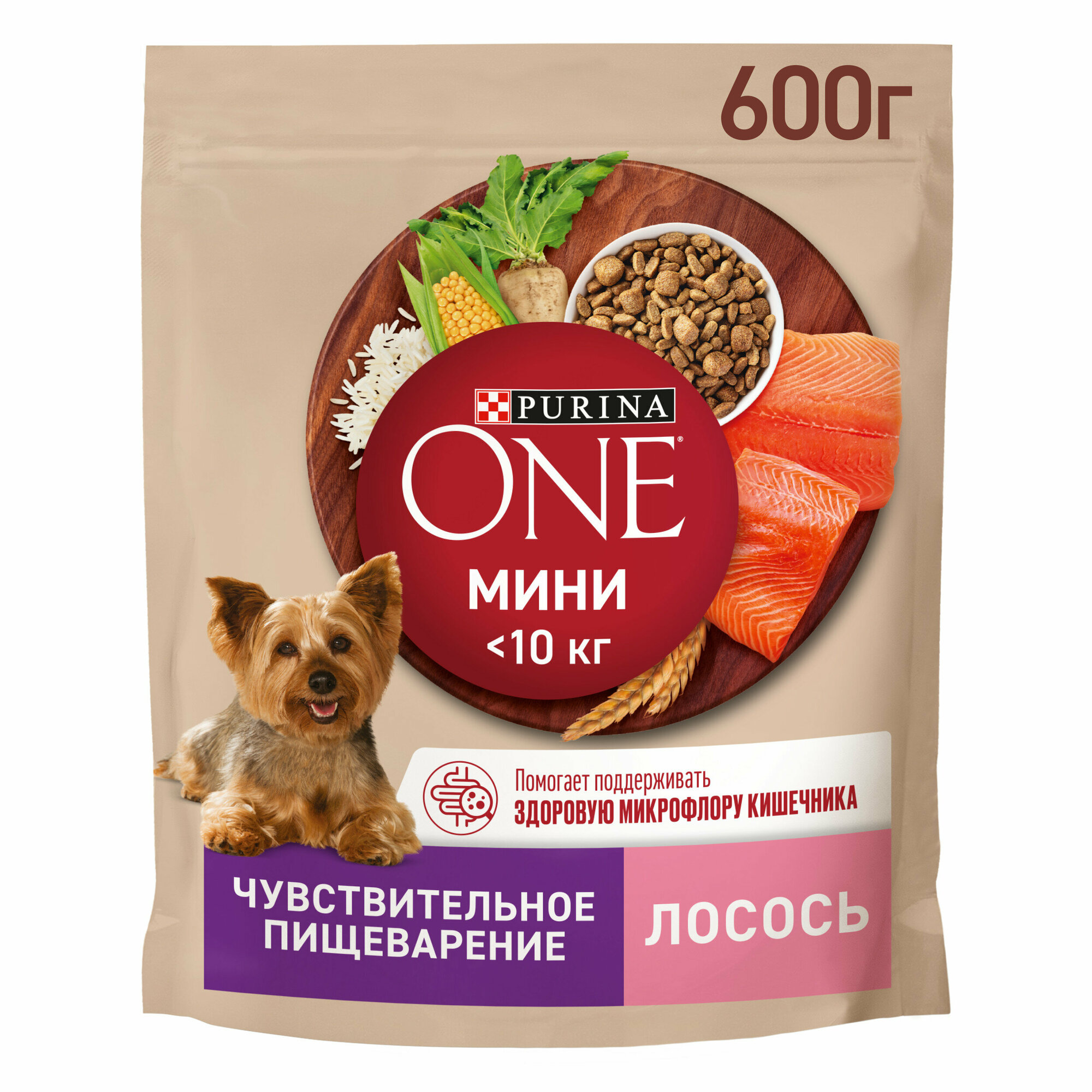 Сухой корм Purina ONE® мини <10 кг Чувствительное пищеварение для собак мелких пород с чувствительным пищеварением, с лососем и рисом, 600 г