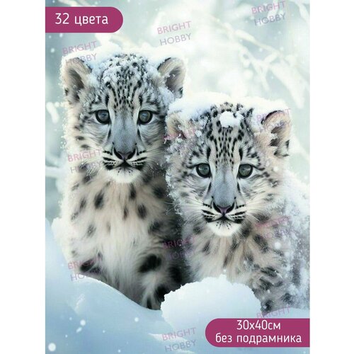 Алмазная мозаика без подрамника 30х40