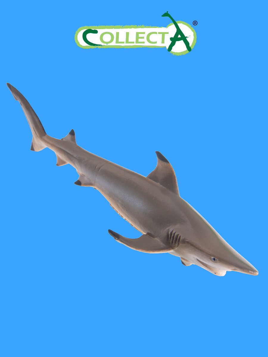Фигурка морского животного Collecta, Рифовая акула
