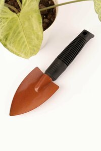 Основная фотография от вендора