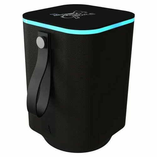 Портативная колонка Ritmix SP-340B black 279000₽