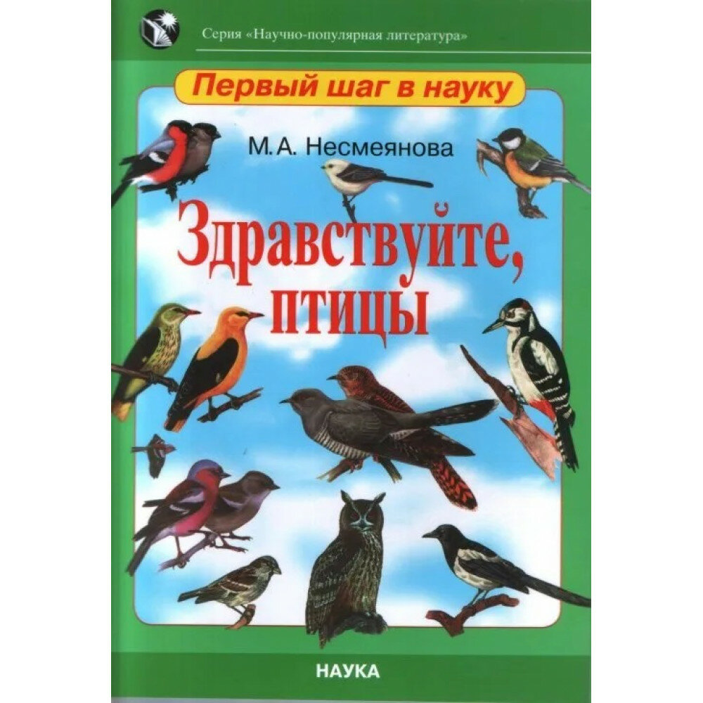 Здравствуйте, птицы (Несмеянова М.А.) - фото №1